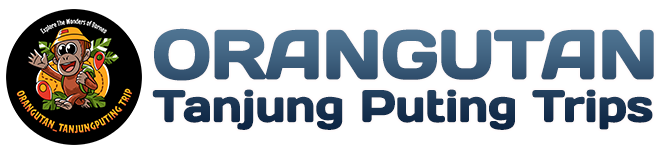 Orangutan Tanjung Puting Trip